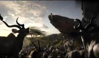 最新电影上映2019 最新电影上映2019